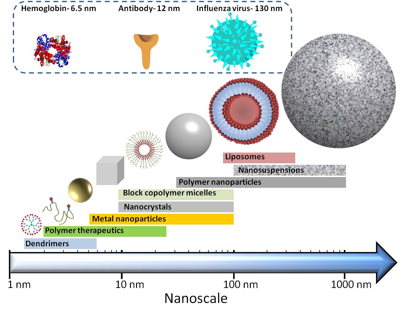 what is nanomedicine The British Society for Nanomedicine